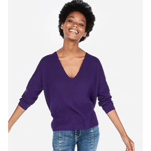 EXPRESS Cotton Shaker Knit V-Neck Sweater